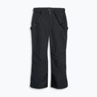 Men's ski trousers 4F Fnk M0924 deep black