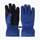 Ski gloves 4F Fnk F159 cobalt