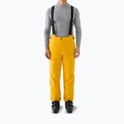 Men's ski trousers 4F Fnk M1086 yellow