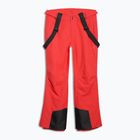 Men's ski trousers 4F Fnk M1155 red