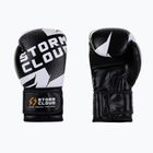 Boxing gloves StormCloud Bolt 3.0 black/white