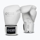 Boxing gloves StormCloud Muay Thai Blizzard 2.0 white/silver