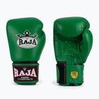 Boxing gloves RAJA BOXING Single Standard Genuine Leather green