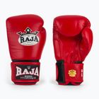 Boxing gloves RAJA BOXING Single Standard Genuine Leather red