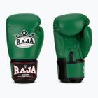 Boxing gloves RAJA BOXING Single Semi Leather green