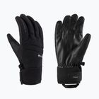 Ski gloves Viking Whistler GTX Multifunction Black