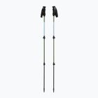 Trekking poles Viking Kivi 2.0 green