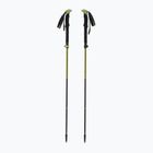 Trekking poles Viking Terve 2.0 green