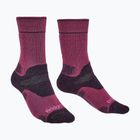 Women's socks Bridgedale Heavyweight Performance Boot Original berry/plum