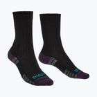 Women's socks Bridgedale Lightweight Merino Performance Boot Original black/purple