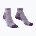 Women's socks Bridgedale Hike Lightweight Performance Ankle heather/damson