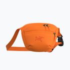 Arc'teryx Mantis 1 1.5 l verve sachet