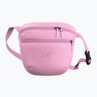 Pouch Arcteryx Mantis 2 2,5 and pineberry