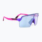 Sunglasses Rudy Project Spinshield Pro violet pink-gloss 40 anniversary/multilaser ice