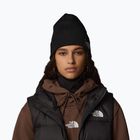 The North Face Dock Worker Recycled winter cap black NF0A3FNTJK31