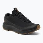 Men's hiking boots Arc'teryx Aerios FL 2 black X000006497022
