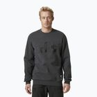 Men's Helly Hansen Arctic Ocean Sweater grey 30364_980