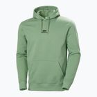 Men's Helly Hansen Yu Hoodie 2.0 jade 2.0 sweatshirt