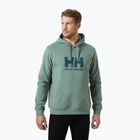 Men's Helly Hansen HH Logo Hoodie cactus