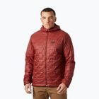Men's Helly Hansen Lifaloft Hooded Insulator hybrid jacket mars red