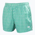 Men's sailing shorts Helly Hansen Newport Trunk 4.5" dark mint offset stripe ao