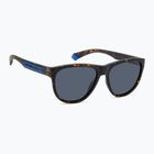 Polaroid PLD 2156/S matte brown havana/blue polarised sunglasses