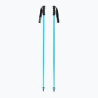 Ski poles HEAD Worldcup SL speed blue/black/white