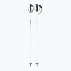 Ski poles HEAD Worldcup Rebels Carbon white