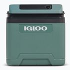 Fridge Igloo IE24 ACDC 24 and spruce