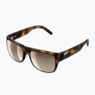 POC Want tortoise brown/clarity trail/partly sunny silver sunglasses