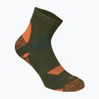 Men's Pinewood InsectSafe Cotton olive trekking socks