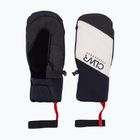 Colourwear Powder Mitten off-white snowboard gloves