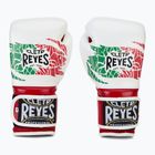 Cleto Reyes Velcro Sparring boxing gloves red/white green red