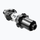 DT Swiss 35P 142/12 ROCL ASL11 R24 BM ASM W rear hub black