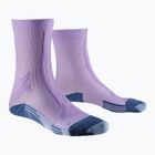 Women's X-Socks Trailrun Discover Crew orchid/sunset blue running socks