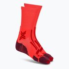 Men's socks X-Socks Trailrun Perform Crew fluo red/namib red