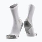 Socks X-Socks Run Discover Crew arctic white/pearl grey