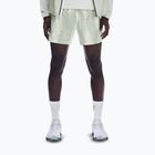 Men's running shorts On Performance Terra seedling/tin