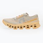 Men's running shoes On Cloudmonster 3 pelican/squash