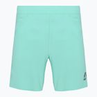 Men's running shorts SCOTT Endurance LT miami green