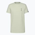 Mammut men's t-shirt Massone Quickdraw silver sage