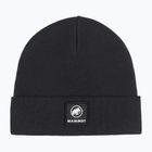 Winter hat Mammut Fedoz black