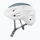 Climbing helmet Mammut Wall Rider 2.0 Helmet starta/white