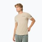 Men's T-shirt super.natural Peak Lovers white pepper/eucalyptus