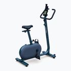 KETTLER Hoi Ride stationary bike blueberry green