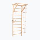 RINAGYM Sport 2 gymnastic ladder
