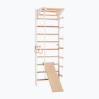 RINAGYM Gymnastic ladder Combi 3 white