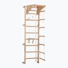 RINAGYM Eco-Pine gymnastic ladder