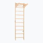 RINAGYM SPR C Pure gymnastic ladder