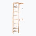 RINAGYM gymnastic ladder SPR B